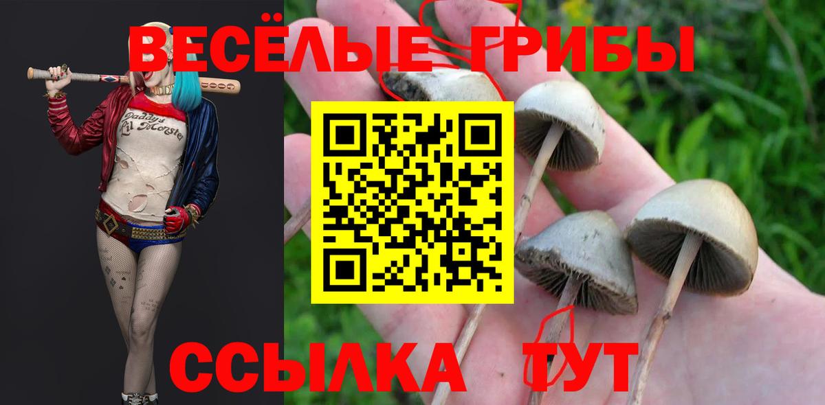 Гашиш  ГАШ  МДМА  Бошки Шишки  Владикавказ  Мефедрон  Меф МЯУ МЯУ кристаллы  Вход с VPN 