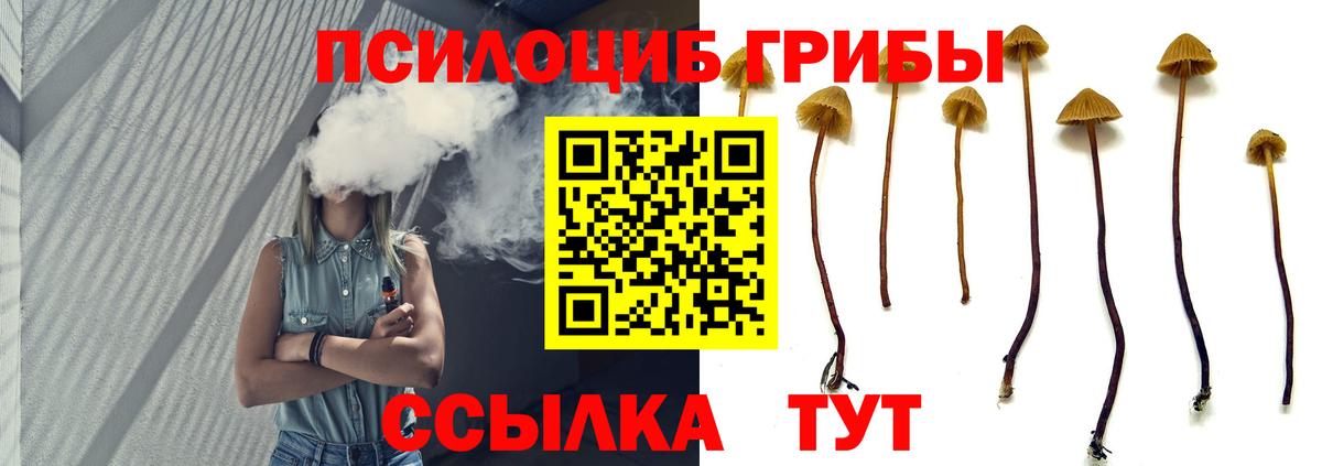 Владикавказ  Галлюциногенные грибы ЛСД  Вход с VPN 